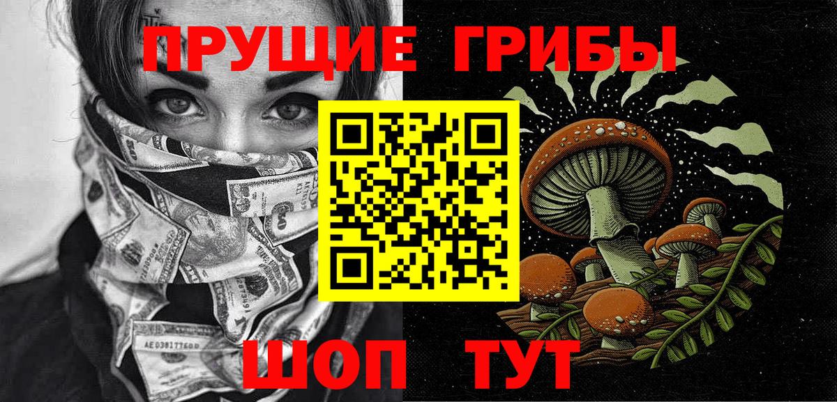 Галлюциногенные грибы Psilocybe  Псилоцибиновые грибы GOLDEN TEACHER  Вход с VPN  Благовещенск 